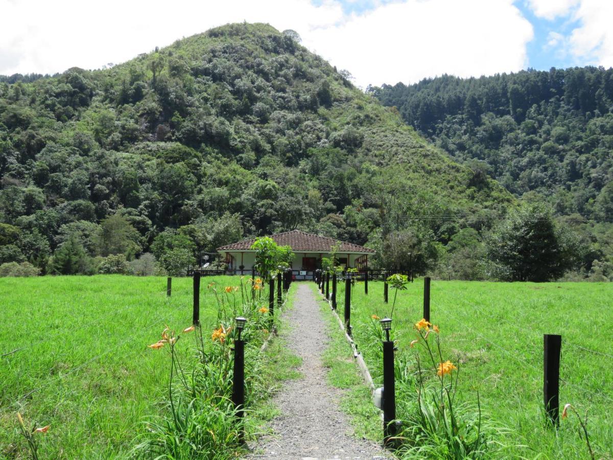 La Cabaña Ecohotel - Valle del Cocora Salento Exterior foto
